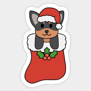 Christmas Black and Brown Chihuahua Stocking Sticker